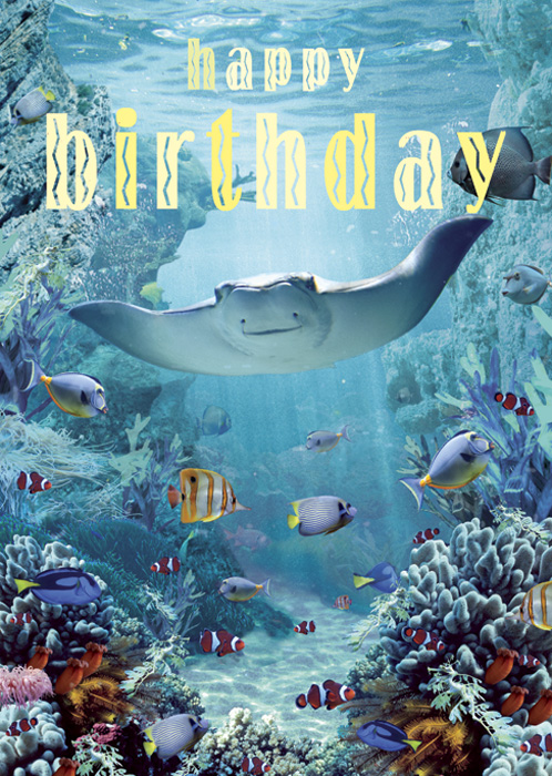 BC232 - Happy Birthday - Manta Ray Greeting Card by Max Hernn - Click Image to Close